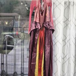 Hocus Pocus Halloween Costume 