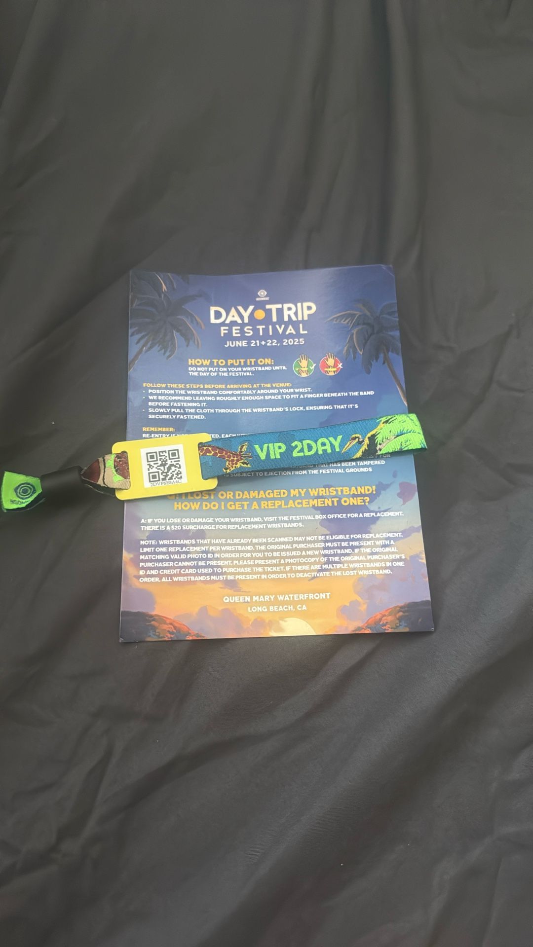 VIP 2-Day Day Trip Festival