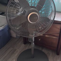 Fan 