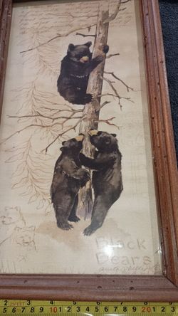 Large Framed Bear Cubs in Nature 9.5" x 18"
