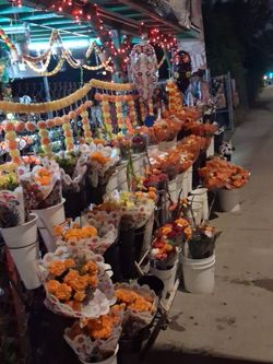 Dia de los muertos flowers