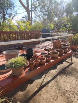 TERRA COTTA CLAY POTS & PLANTS SALE!