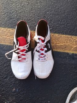 Tenis