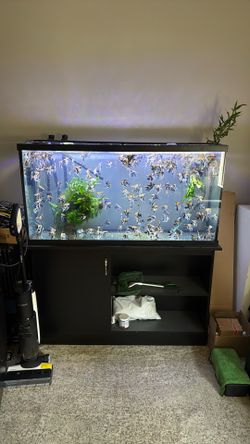Aquarium