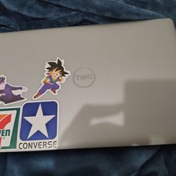 Dell Laptop 