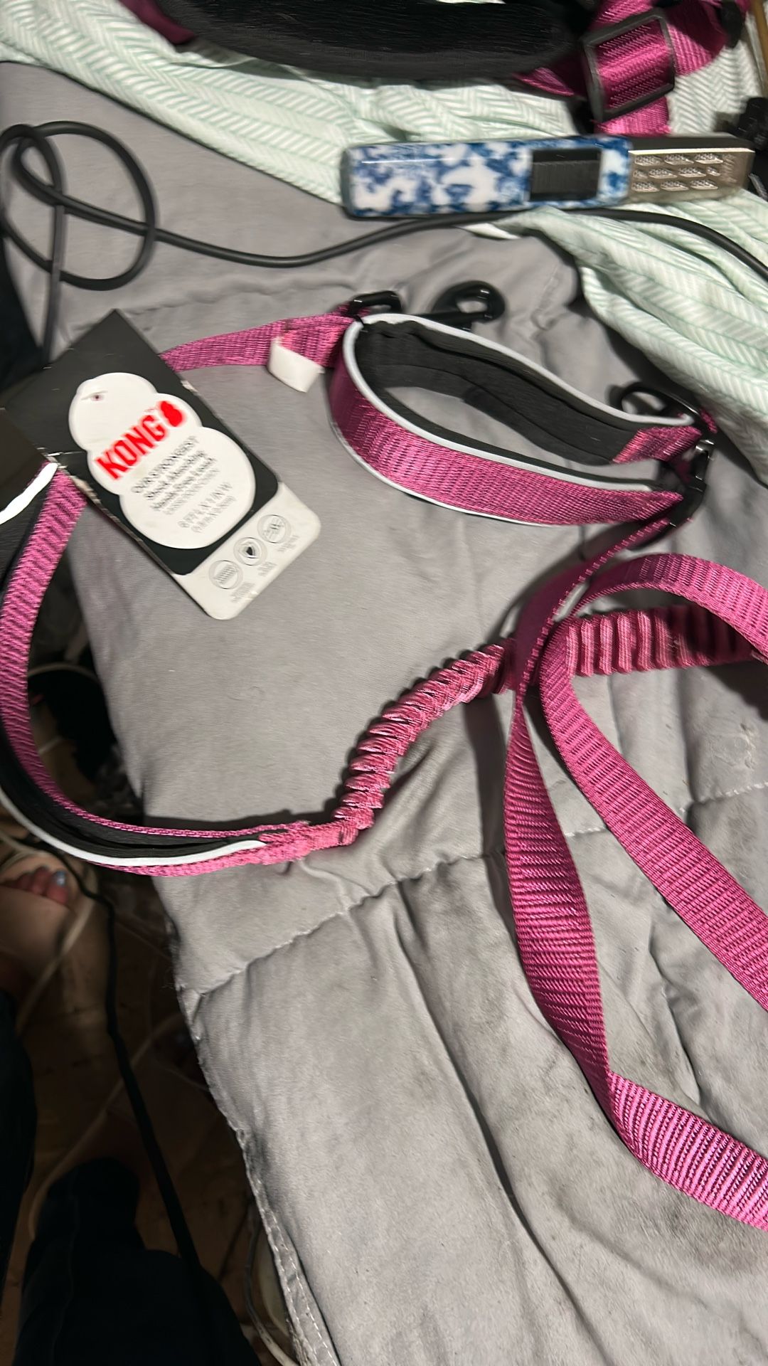 Kong Leash