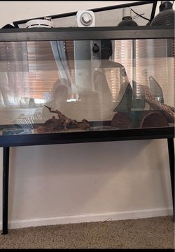 Reptile Cage / Terrarium Setup with Stand & Accessories