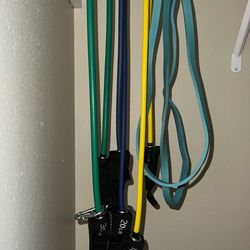 Resistance Bands Set – Multiple Strengths with clips