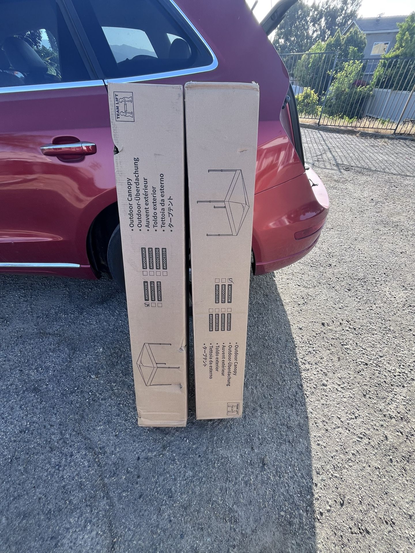 10x10 Canopy