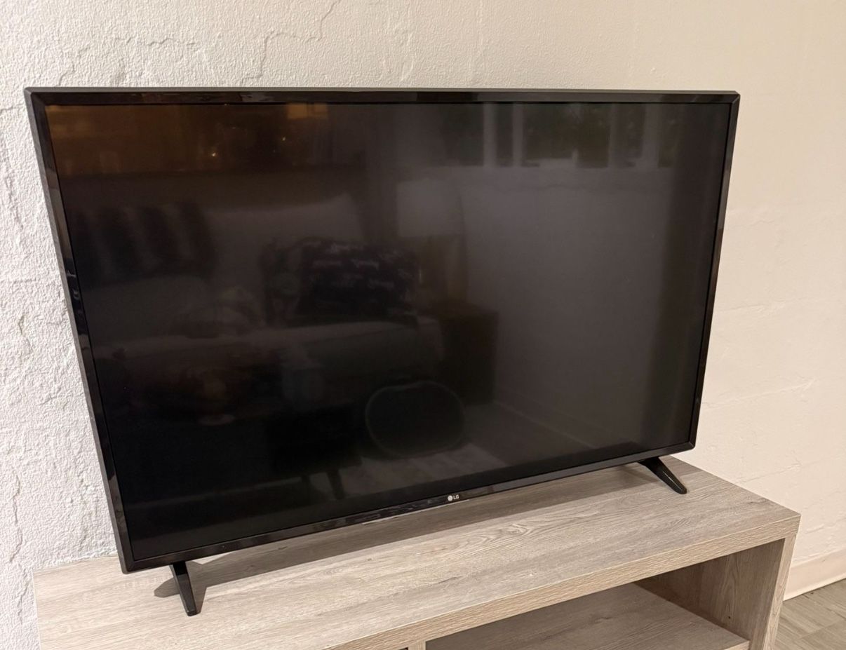 45 Inch TV