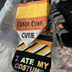 Dogs Halloween Bandanas 