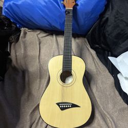 Acoustic Guitar 
