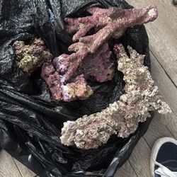 real reef rock and saltwater matenience items 