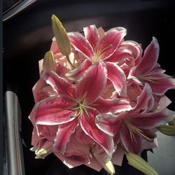 Flower bouquets