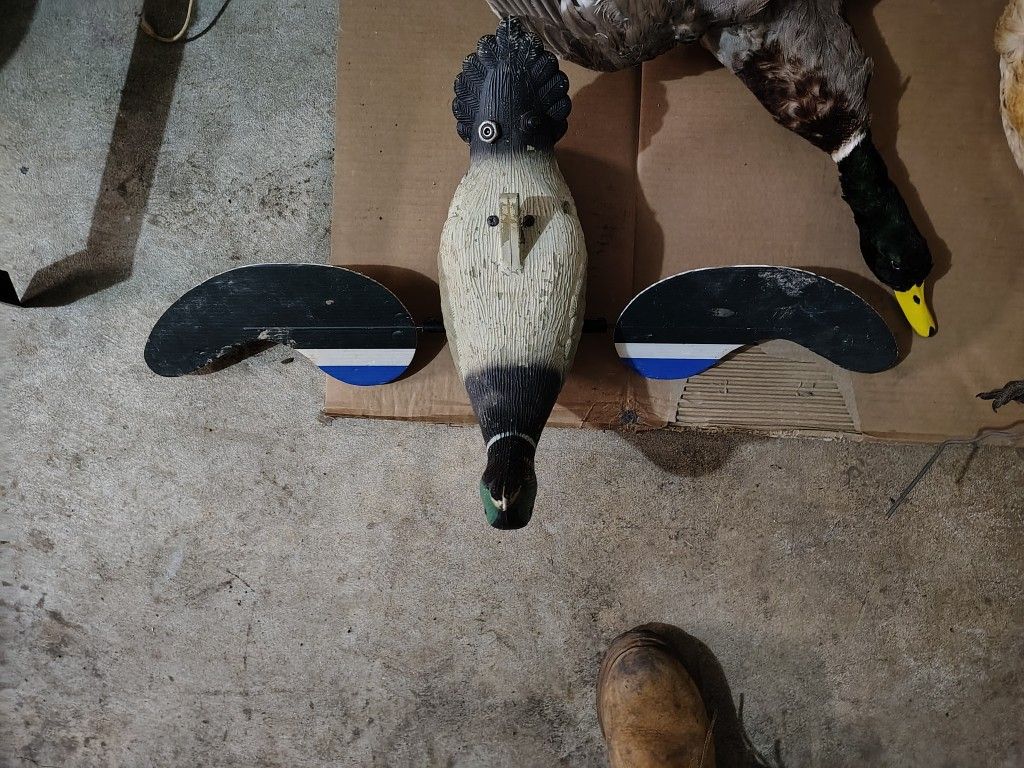 Electric Duck Decoy