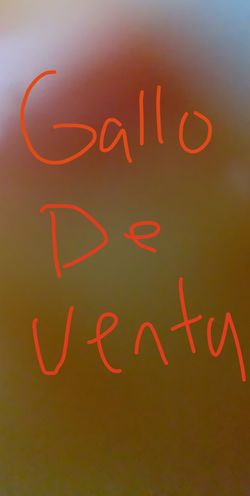 Gallos