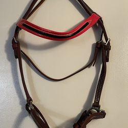 English Show Halter leather with red brow-band, small size, new 