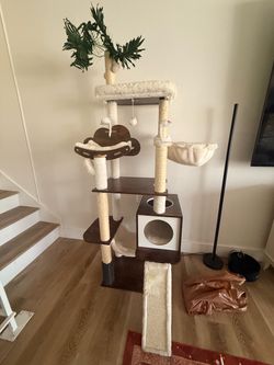 Cat condo