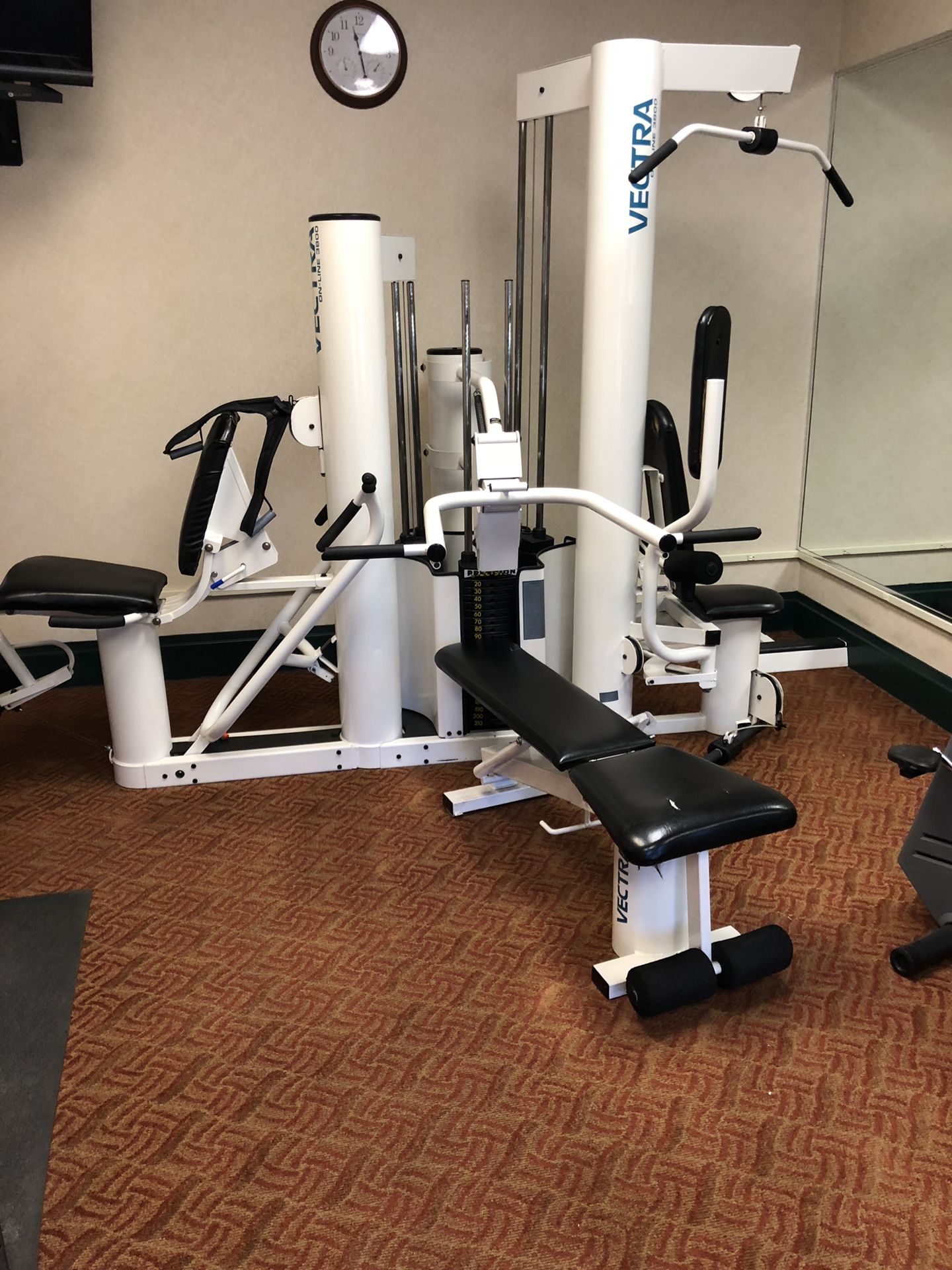 Home Gym Vectra Online 3800