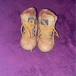 Toddler Boy Timberland Boots 