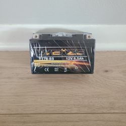 12 Volt Battery 6.5Ah