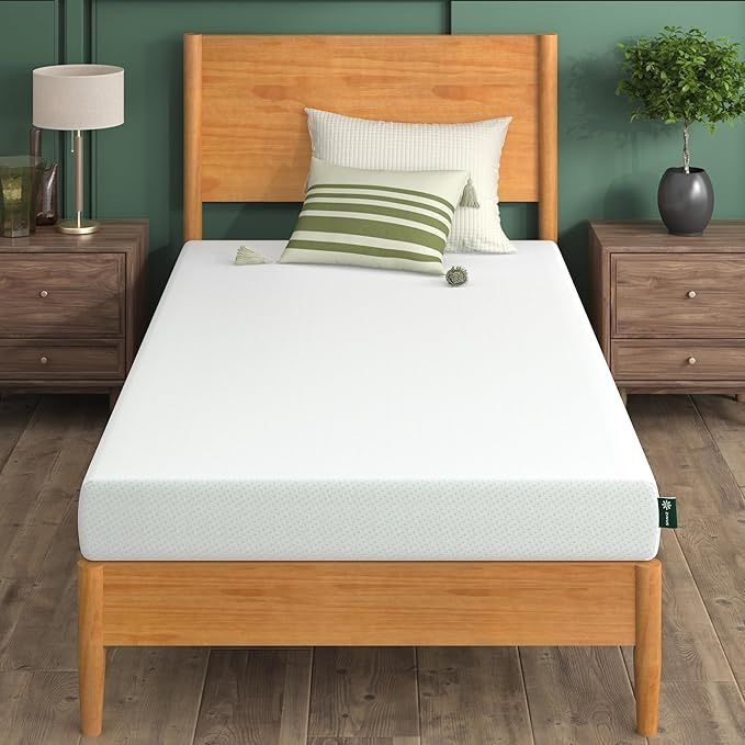 Twin Bed & Mattress