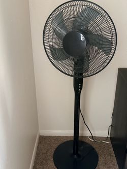 Black Pedestal Standing Fan