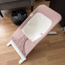 Baby Bouncer