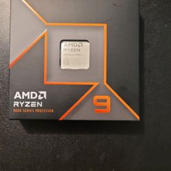 AMD Ryzen 9 9900x 