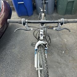 Men’s Mountain Bike 