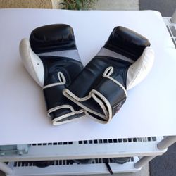 About 12 Ounces Boxing Gloves