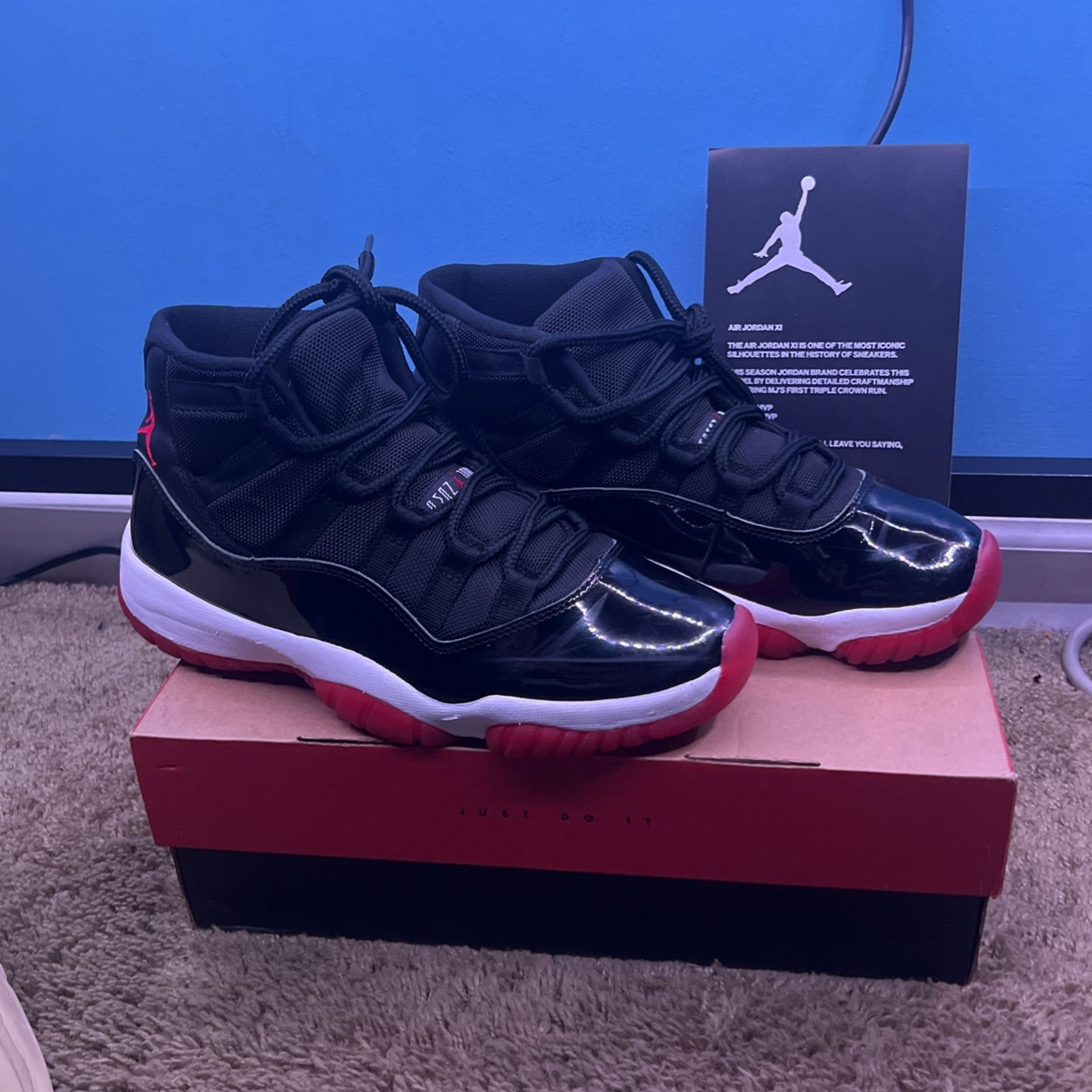 JORDAN 11 Bred USED (Offer)