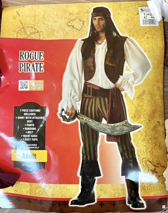 Family Matching Halloween Costumes