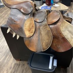 Three English Riding Saddles