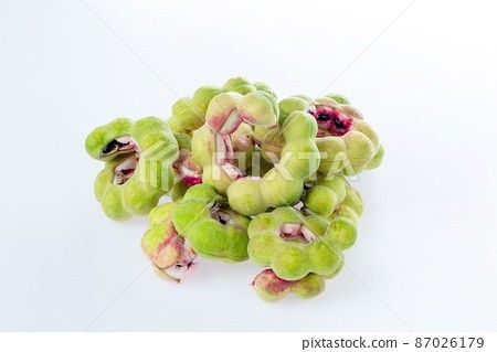 Guamachil FRUIT Tree