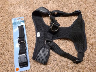 Dog harness and collar