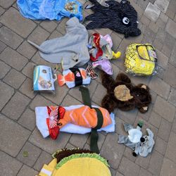 Dog Halloween costumes