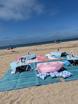 Pink and Blue picnic party set up