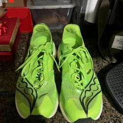 Saucony Endorphin Elite Size 11