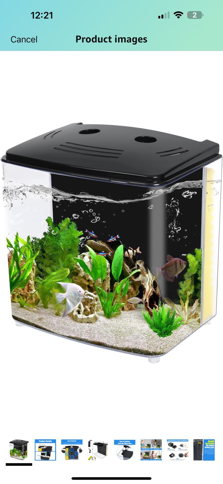 Fish Tank 