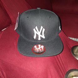 Brand new NewEra Hat 