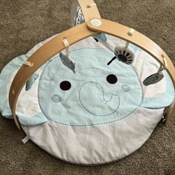 Baby Gym