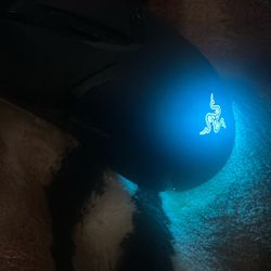 Razer Mouse 
