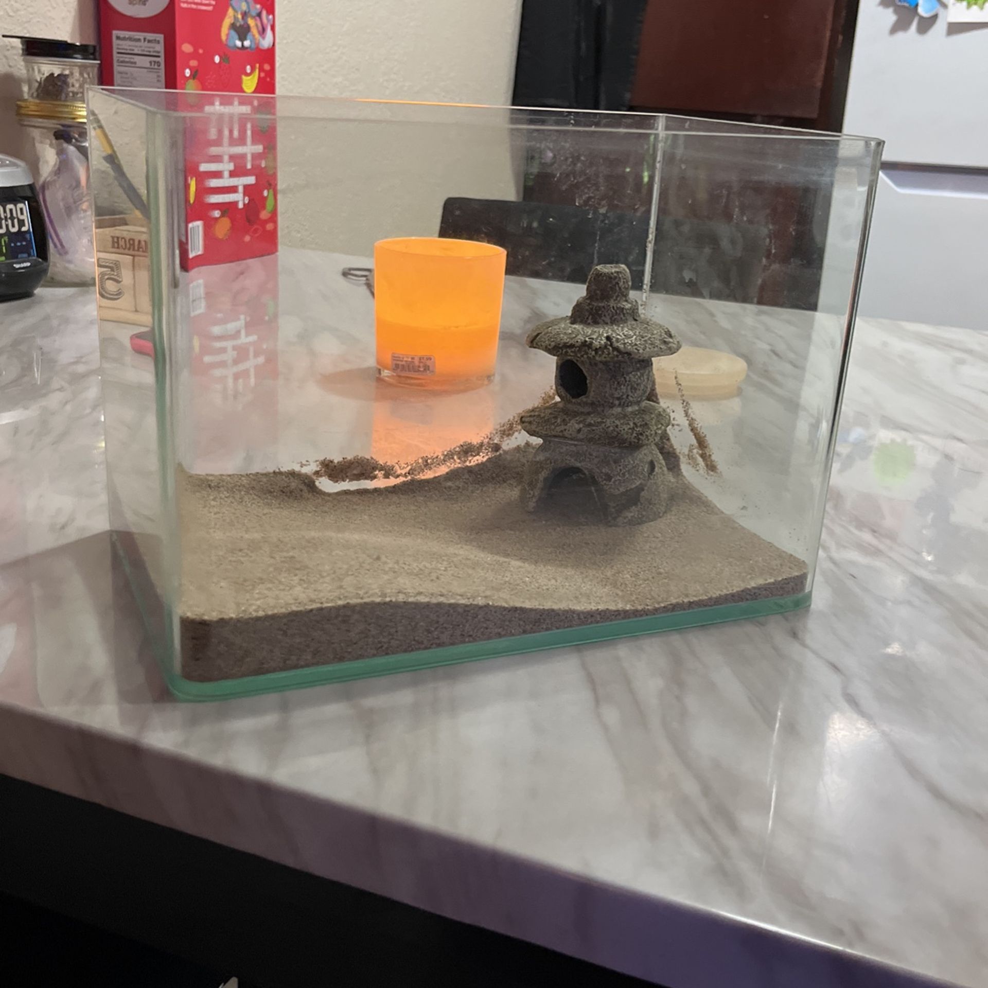 Small Glass Aquarium