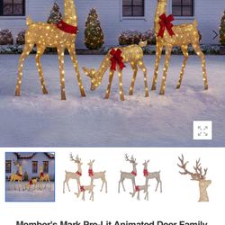 Member’s Mark (Sam’s Club) Outdoor Christmas Decor – 2 Reindeer Sets + 2 LED Lamp Posts