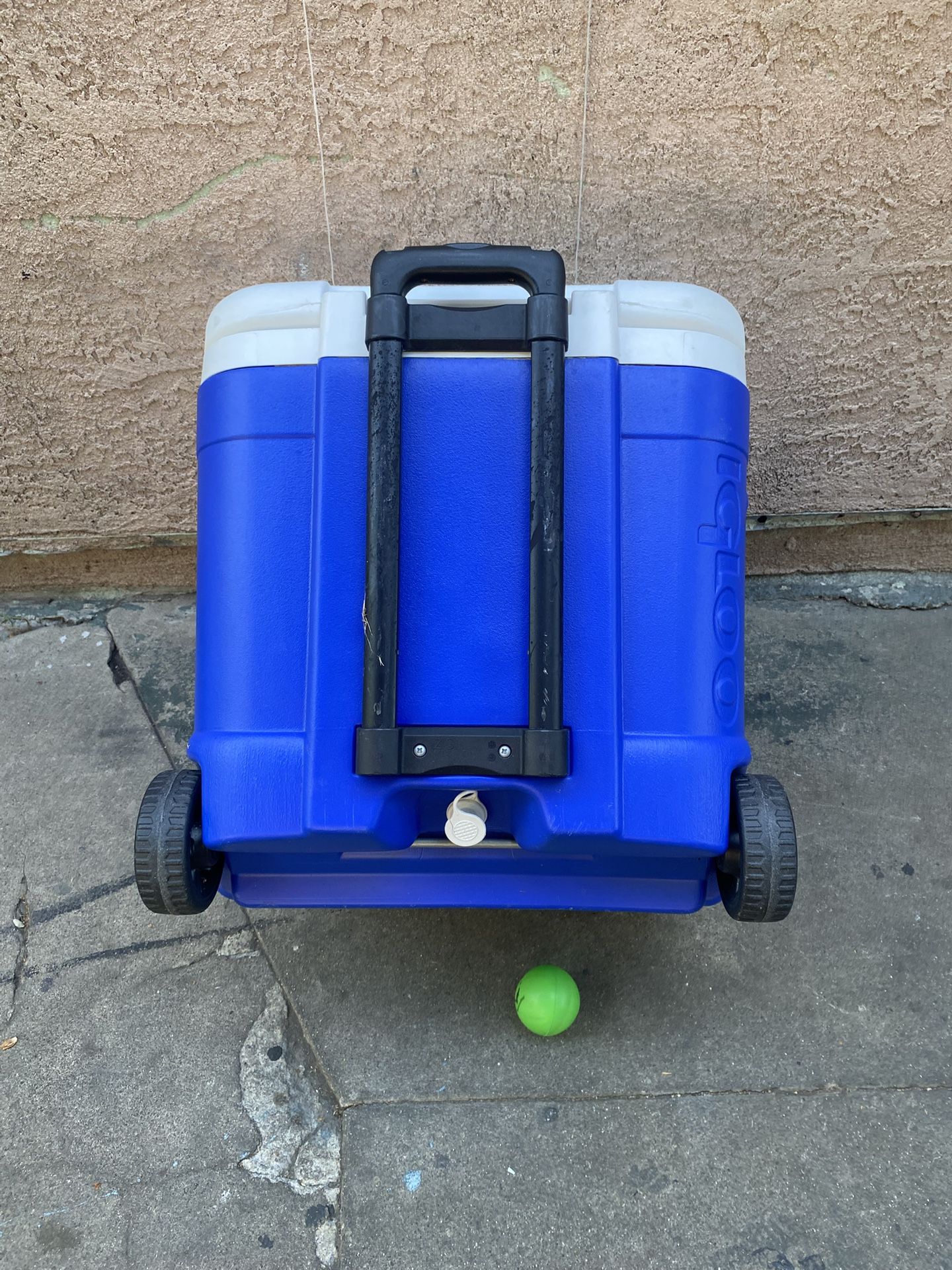 Cooler