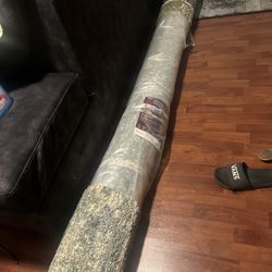 Carpet