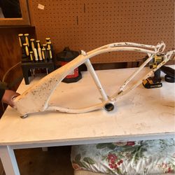 Custom Bike Frame