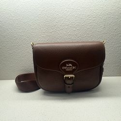 Brown Tabby Coach Bag