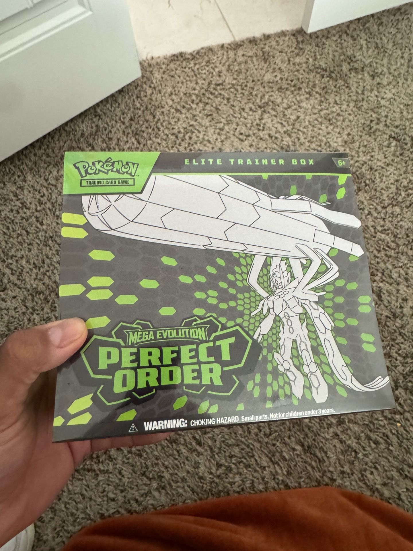 Pokémon perfect order ETB